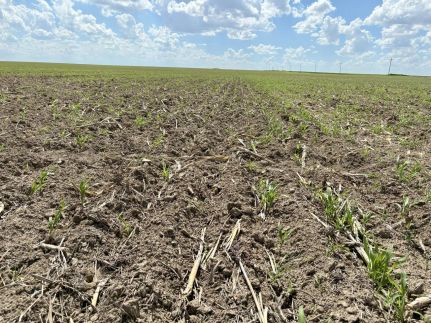 Property for sale in Baca County, Colorado