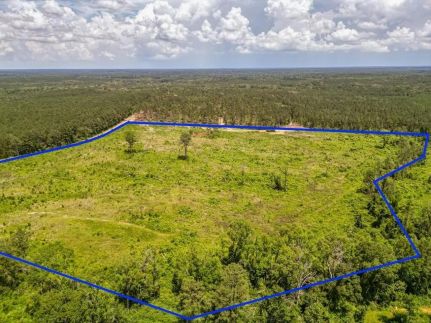 Hunting Land for sale in Amite County, Mississippi