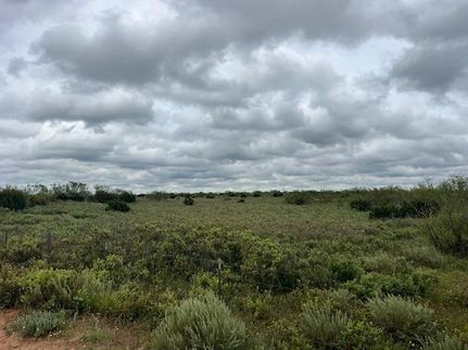 Ranch Property for sale in Kent County, Texas