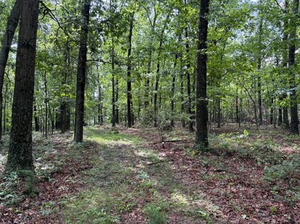Undeveloped Land for sale in Hampshire County, West Virginia