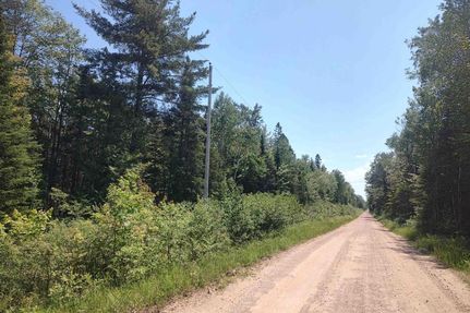Timberland Property for sale in Alger County, Michigan