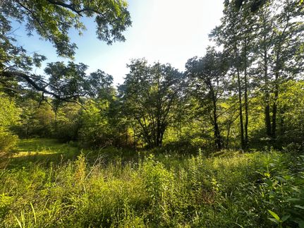 Undeveloped Land for sale in Wilkes County, North Carolina