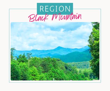 Undeveloped Land for sale in Buncombe County, North Carolina