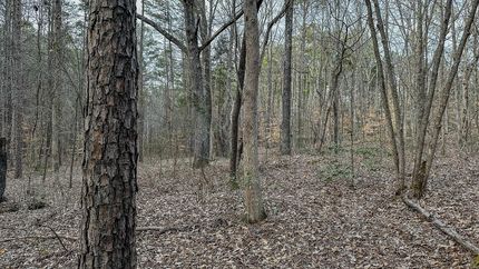 Farm Property for sale in McNairy County, Tennessee