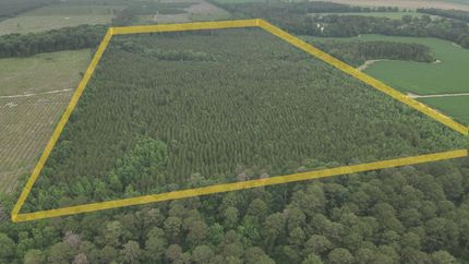 Farm Property for sale in Ashley County, Arkansas