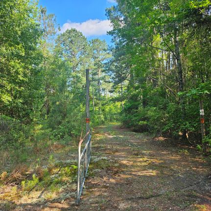 Ranch Property for sale in Clarendon County, South Carolina