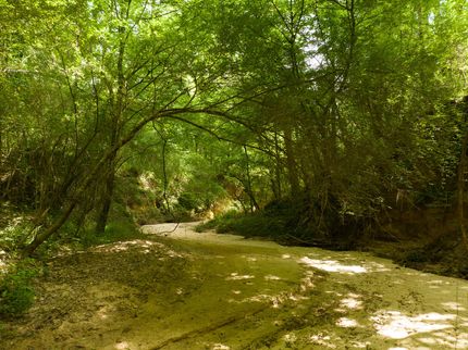 Residential Property for sale in West Feliciana Parish, Louisiana