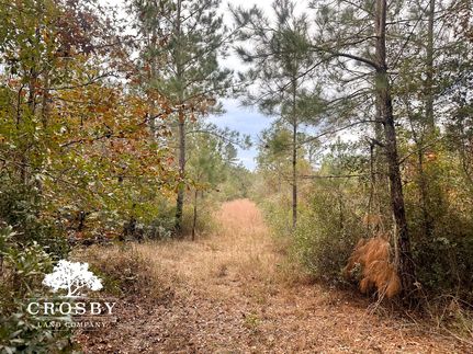 Commercial Property for sale in McIntosh County, Georgia