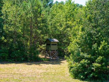 Timberland Property for sale in McDuffie County, Georgia