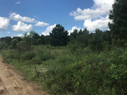 Ranch Property for sale in Screven County, Georgia