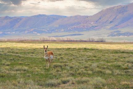 Residential Property for sale in Albany County, Wyoming