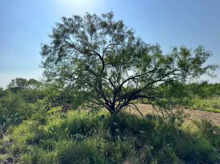 Farm Property for sale in McMullen County, Texas