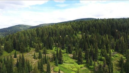 Ranch Property for sale in Idaho County, Idaho