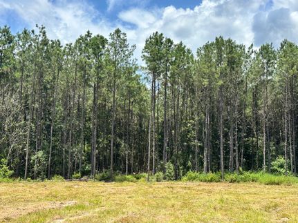 Farm Property for sale in Tyler County, Texas
