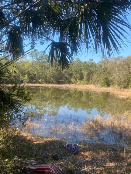 Timberland Property for sale in Putnam County, Florida