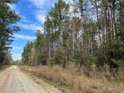 Recreational Property for sale in Covington County, Alabama