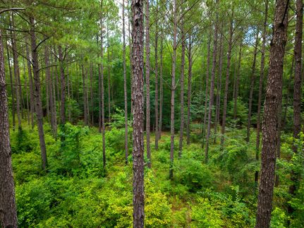 Ranch Property for sale in Pulaski County, Georgia