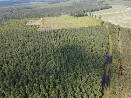 Undeveloped Land for sale in Bertie County, North Carolina