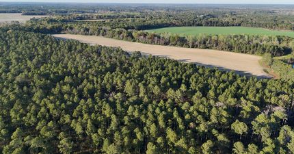 Undeveloped Land for sale in Tift County, Georgia