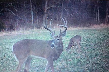 Property for sale in Morgan County, Missouri