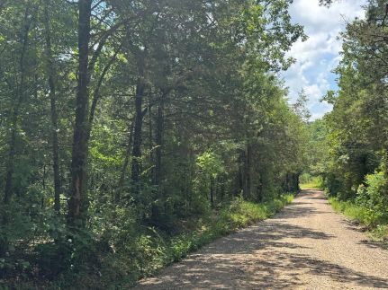 Residential Property for sale in Conway County, Arkansas