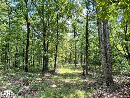 Ranch Property in Searcy County, Arkansas