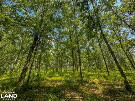 Farm Property for sale in Bibb County, Alabama