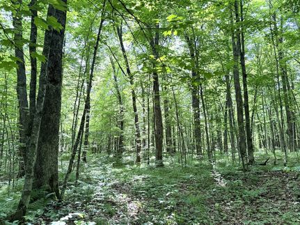 Ranch Property for sale in Lincoln County, Wisconsin