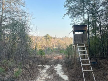 Residential Property for sale in Perry County, Alabama