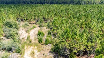 Farm Property for sale in Jackson County, Florida