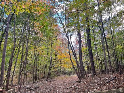 Farm Property in Montgomery County, Alabama