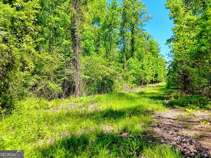 Ranch Property for sale in Habersham County, Georgia