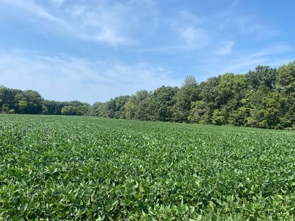 Farm Property for sale in Fayette County, Illinois