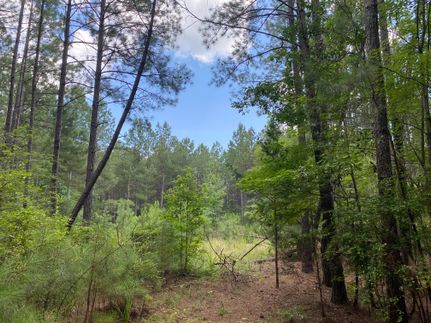 Ranch Property for sale in Laurens County, South Carolina