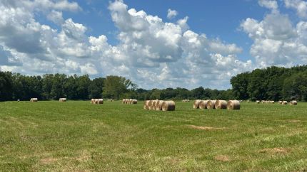 Recreational Property for sale in White County, Arkansas