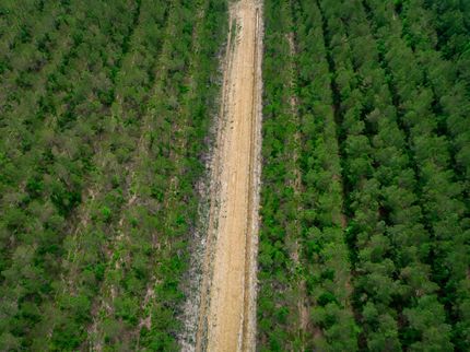 Farm Property for sale in Horry County, South Carolina