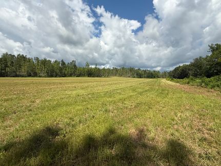 Ranch Property for sale in Henderson County, Tennessee