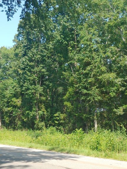 Farm Property for sale in Laurens County, South Carolina