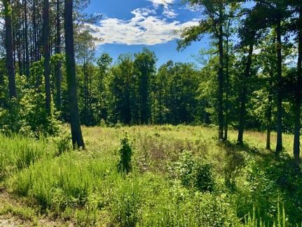 Hunting Land for sale in Humphreys County, Tennessee