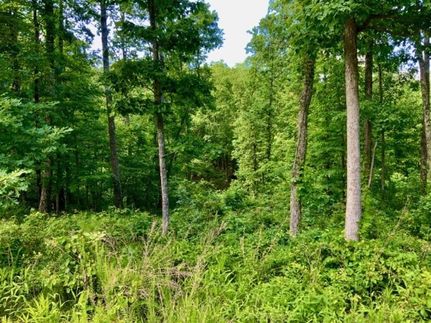 Recreational Property for sale in Humphreys County, Tennessee