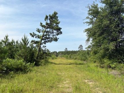 Farm Property for sale in Jasper County, Texas