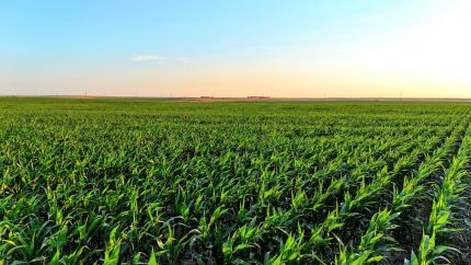 Ranch Property for sale in Pawnee County, Kansas