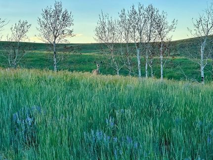 Property for sale in Moffat County, Colorado