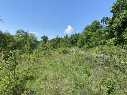 Farm Property for sale in Bedford County, Tennessee