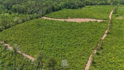 Recreational Property for sale in Amite County, Mississippi