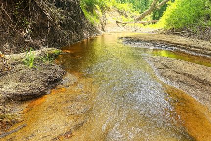 Ranch Property for sale in Limestone County, Texas