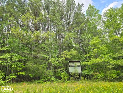 Farm Property in Tallapoosa County, Alabama