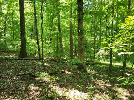 Property for sale in Stewart County, Tennessee