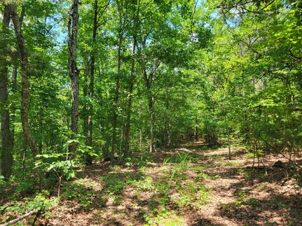 Property for sale in Benton County, Tennessee