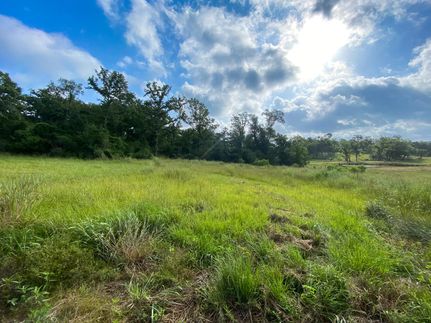 Hunting Land for sale in Leon County, Texas